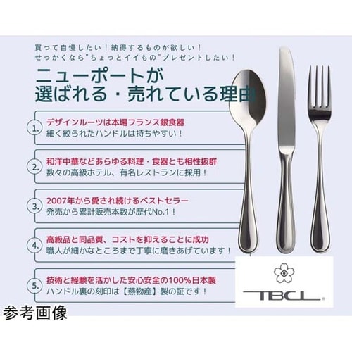 ニューポート アイスクリームスプーン 1