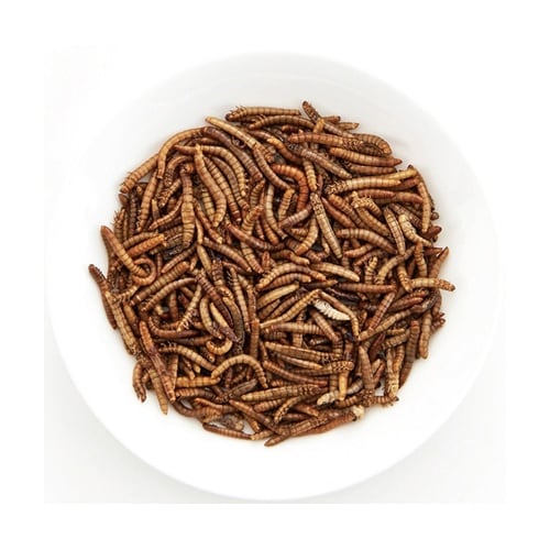 虫グルメ ミルワーム 40g mL−16