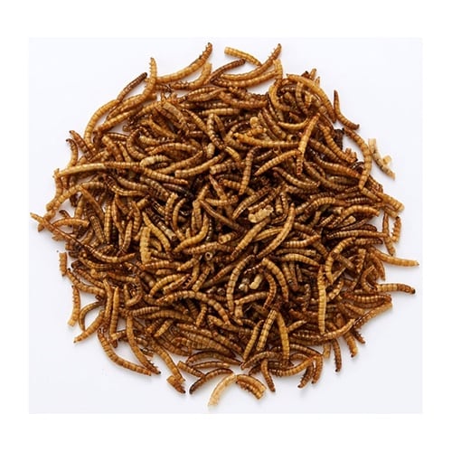 虫グルメ 乾燥ミルワーム 40g mL−