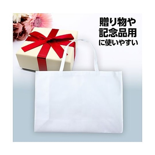 作品収納バック不織布製 大 白 マチ付(