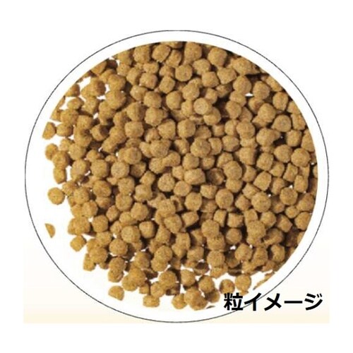 いつものごちそう 成犬用 乳酸菌 2kg