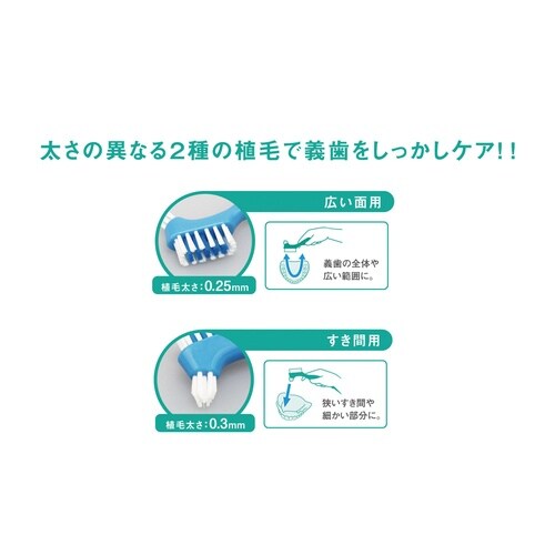 義歯ブラシ パープル GU−002