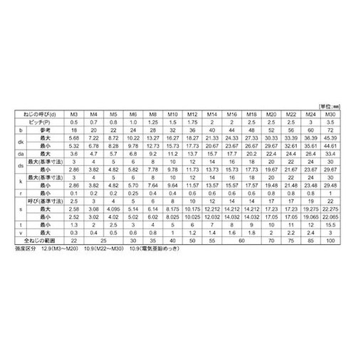 CAP(日本ファスナー 4 × 30 (