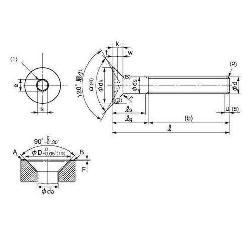 サラCAP(日産ネジ JIS 6×20