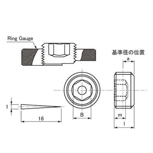 三価ホワイト 阪村 プラグ(浮き SWC