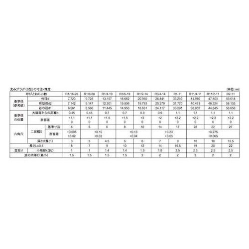 3カ−W プラグB(沈み PT 1/8