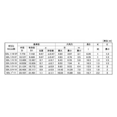 ニッケル GOSHOプラグ(沈み NPT