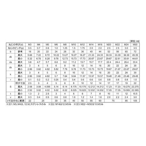 ステンCAP(六角穴付きボルト) 日本鋲