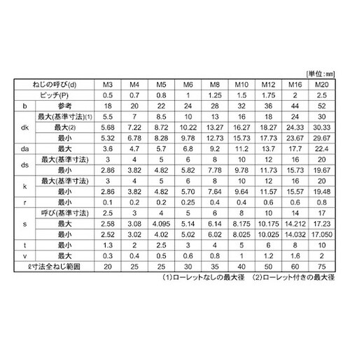 ステンCAP 輸入品 6×85 (20本