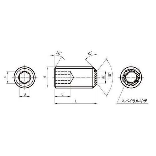 ステンHS(ギザサキ 12×30 (2本