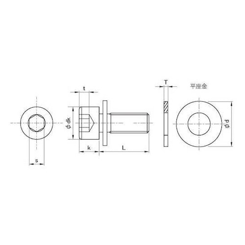 ステンCAP P=1 6×50 (10本