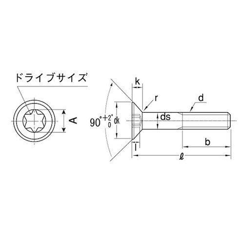 ステンレス TORX−サラCAP 新JI