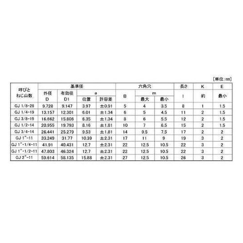SUS316L互省プラグ (浮き GJ