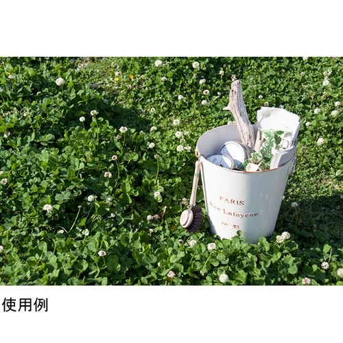 ダストボックス アイボリー LFS−42