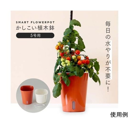かしこい植木鉢 5号用 1009438