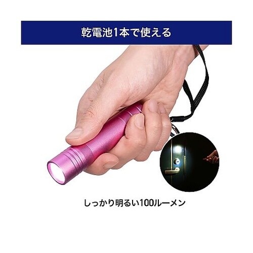 LEDカラーアルミライト ROSE PI