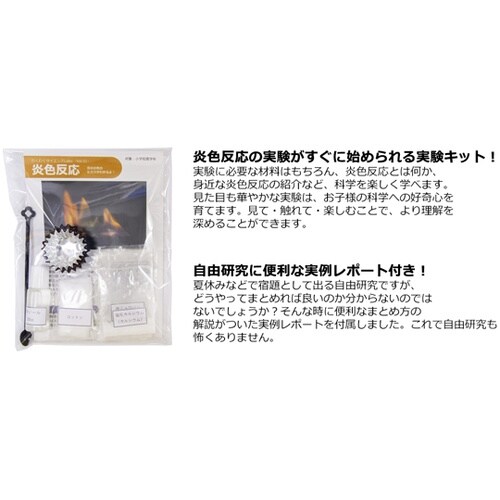 わくわくサイエンスLabo 炎色反応 W