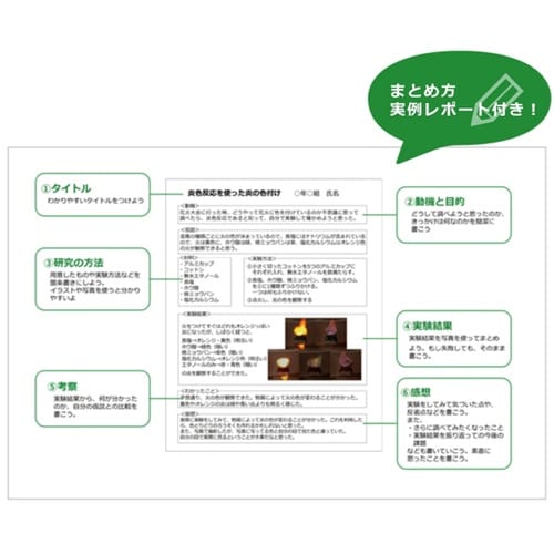 わくわくサイエンスLabo 炎色反応 W