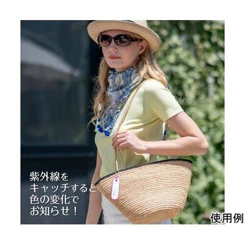 UVレベルチェック・リップミラー UV−