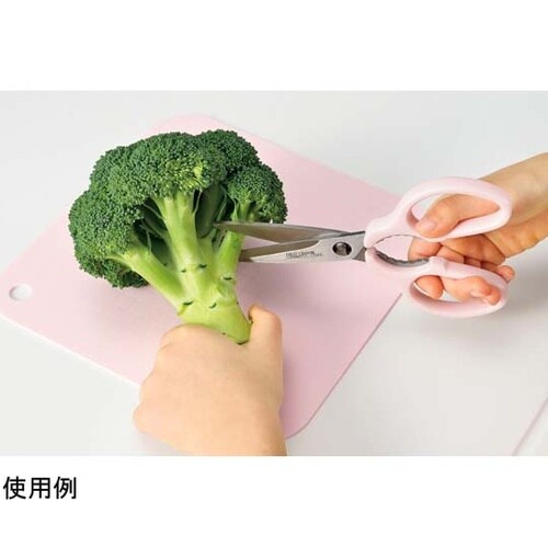 コトコト 小回りのきくキッチンはさみ C