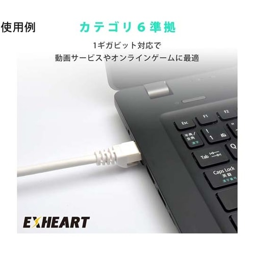 LANケーブル CAT6 10m ホワイ