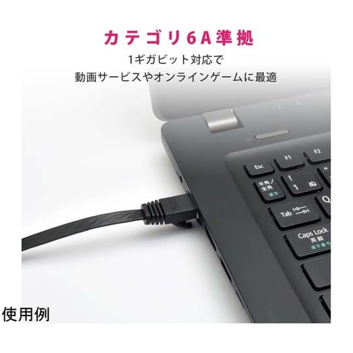 LANケーブル CAT6A フラット 3