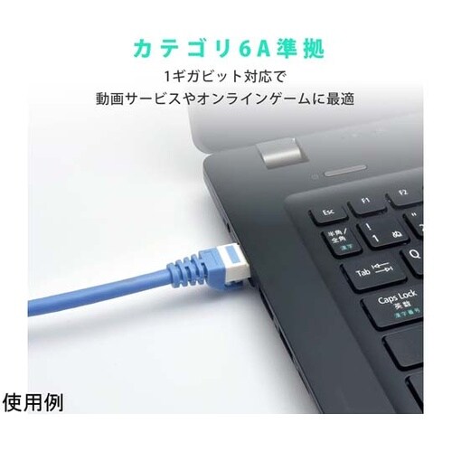 LANケーブル CAT6A ハード 5m