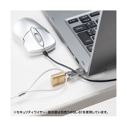 eセキュリティ(nobleWedgeスロ