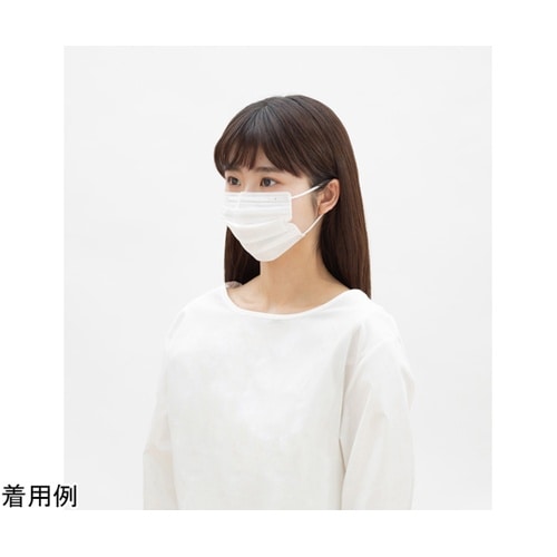 ディスポーザブルプリーツマスク ふつう