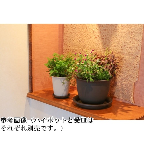 セレナハイポット 6号 サンドベージュ