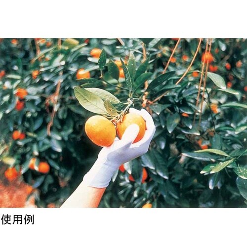 ピッタリ背抜き 強力ロングタイプ S N