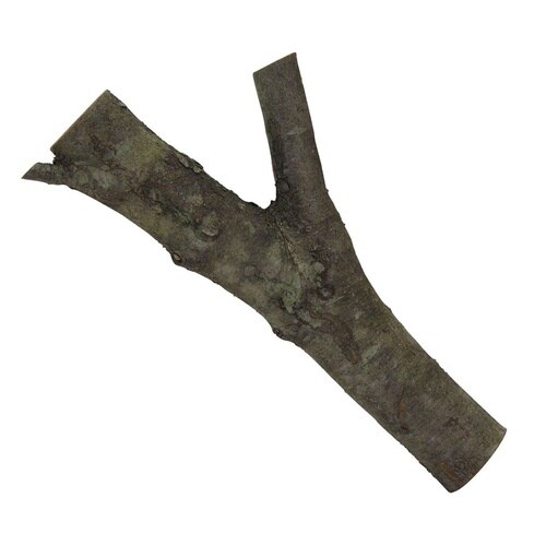 天然 分かれ木 T05