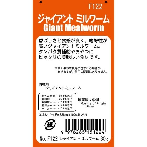 バグズスタイル ジャイアントミルワーム