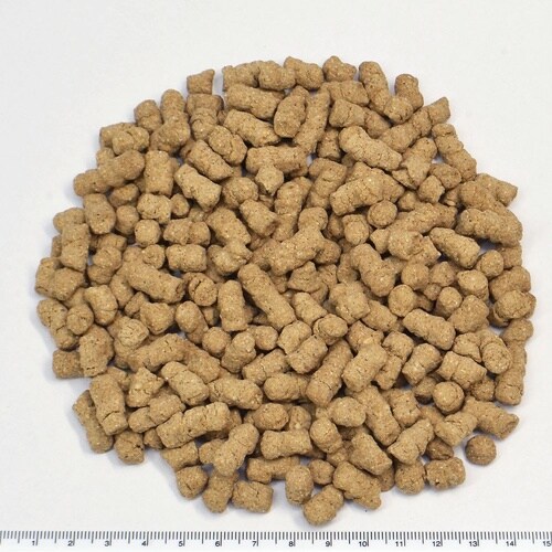 ファンシーラット ナチュラス オールステ