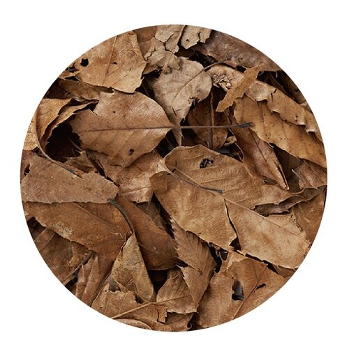 木の葉のおふとん 約1.5L M−10