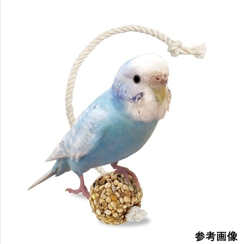 インコのシリアルボール S 1袋(6個)