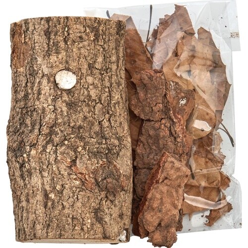 昆虫の木3種 アップグレードセット T−