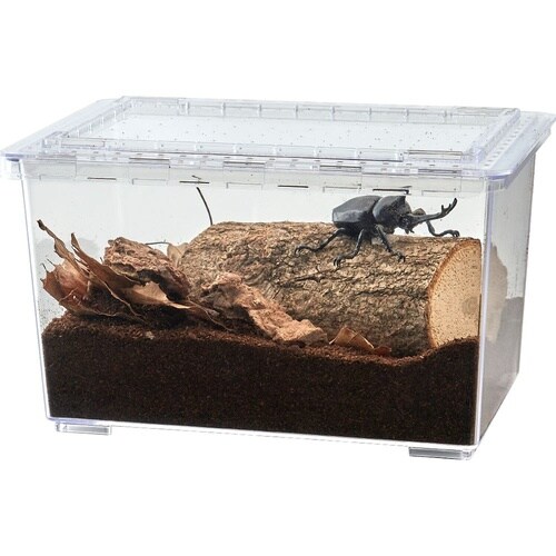 昆虫の木3種 アップグレードセット T−