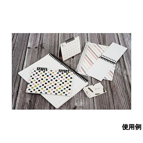 10mm A4 ルーズリング(50枚用/