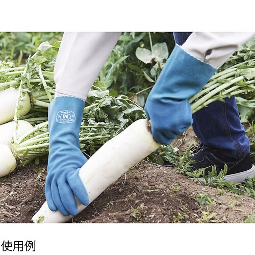 ニュートワロンロング L 156−L