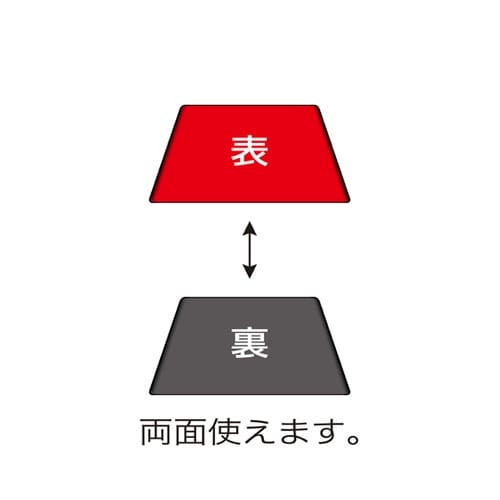 尺1 万葉長手両面盆 グリーン乾漆クリア
