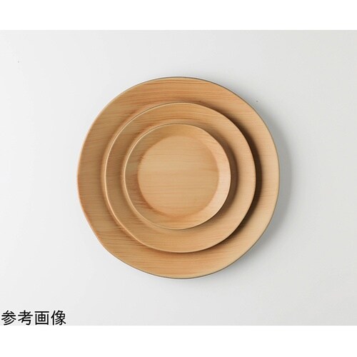 19.4cm リム付サークルプレート 和