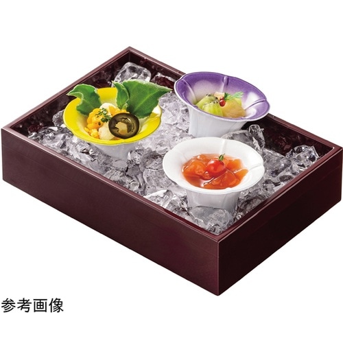 朝顔珍味 黄ぼかし 22210450