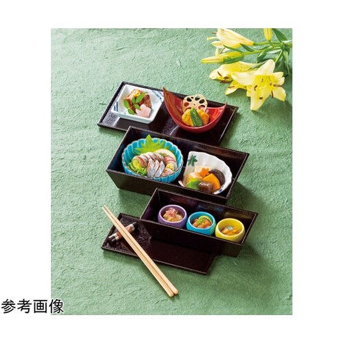224三鈴弁当蓋 大 黒SLタタキ 21