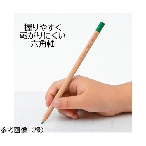 ハローネイチャー 色鉛筆 単色 だいだい