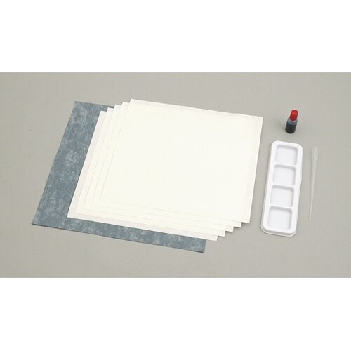 水墨画個人セット 展示台紙付 12659