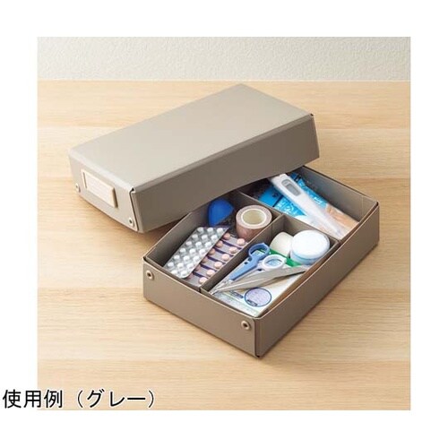 Roomy 仕切りケース A5 1/3