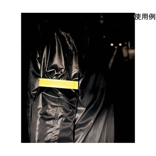 光るバンド RC2100