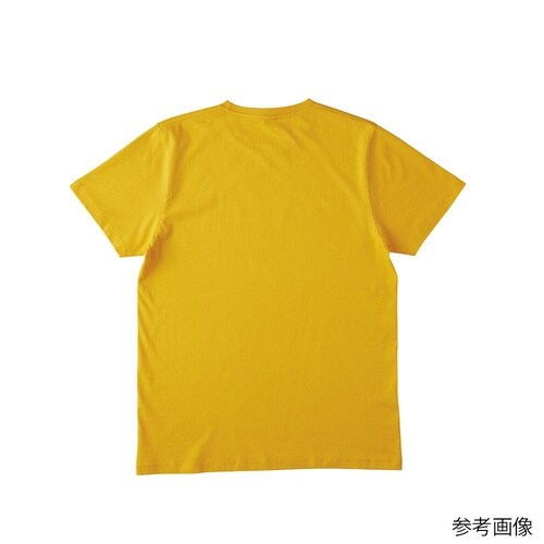 ベーシックスタイルTシャツ ライム XX