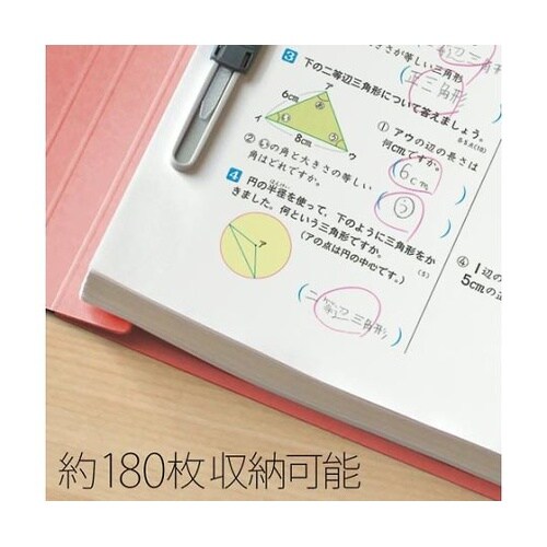 フラットF 年組番氏名A4タテ ピンク